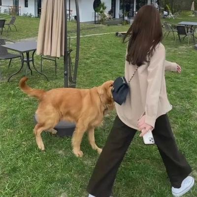 硅谷第四季
